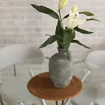 Appartement Pilea Luxury 1