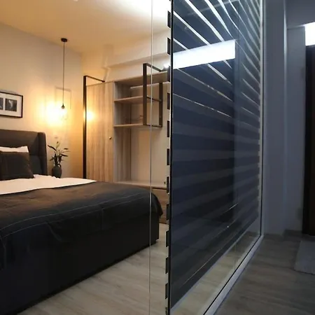 Pilea Luxury 1