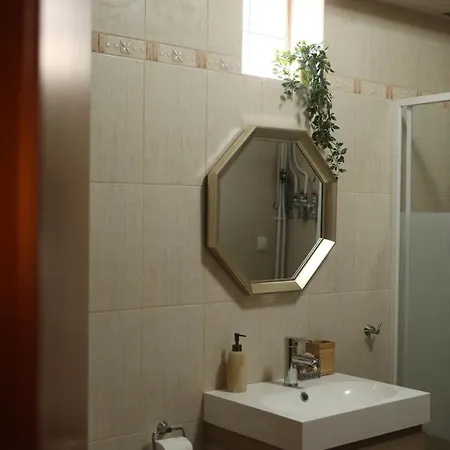 公寓 Moris Luxury 1 塞萨洛尼基