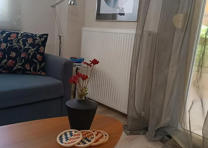 Pilea Luxury 1