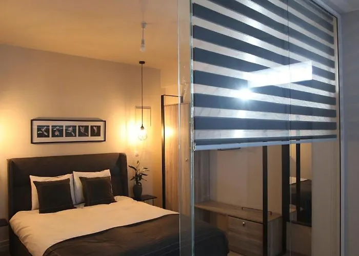 Pilea Luxury 1 *