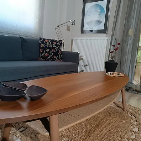 Pilea Luxury 1 *