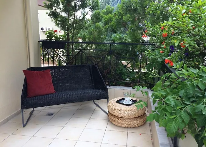 Pilea Luxury 1 * Salonicco
