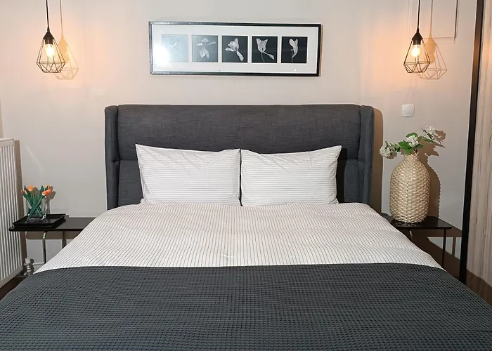Pilea Luxury 1 * Salonicco